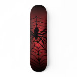 Spider web with spider skateboard