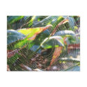 Spider Webs macro  Postcard