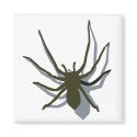 Spider with shadow magnet