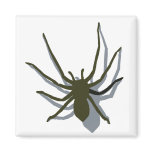 Spider with shadow magnet