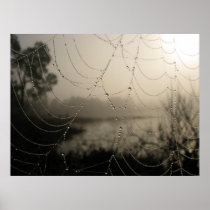 Spider's Morning Print