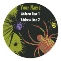 Spiders 'N Patterns