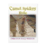 Spiders Post Cards