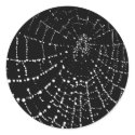 Spider's Web stickers