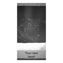Spiderweb Custom Photo Card
