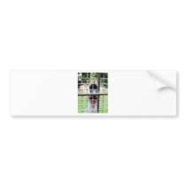 Spike Bumper Sticker