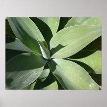 Spike Print