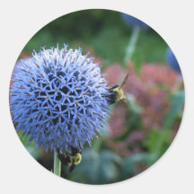 Spiked Blooms 2 Sticker