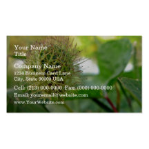Spiky  Round green prisoner Business Card Templates