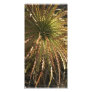 Spiky Succulent El Charco del Ingenio Photo Greeting Card