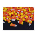 Spilled Candy Corn Postcard