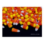 Spilled Candy Corn Postcard