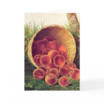 Spilled Peaches cards