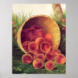 Spilled Peaches Print