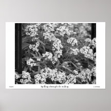 Spilling through the railing in grayscale posters