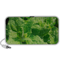 Spinach and raindrops iPod speaker