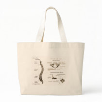 Spine Details Sepia Canvas Bags