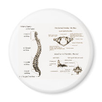 Spine Details Sepia Magnet