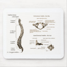 Spine Details Sepia Mousepad