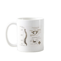 Spine Details Sepia Coffee Mug