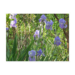 Sping Iris in East Tennessee Post Card