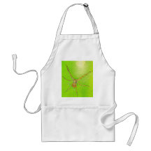 Spinne auf Blatt Apron