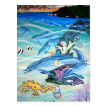 spinner dolphins post card