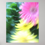 Spinning Daisies posters