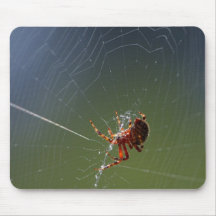Spinning Spider Mousepads