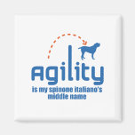 Spinone Italiano Fridge Magnet