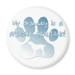 Spinone Italiano Granddog magnets