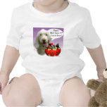 Spinone Italiano Halloween Candy T-shirt