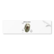 Spinone Italiano History Design