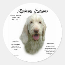 Spinone Italiano History Design Sticker