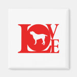 Spinone Italiano Refrigerator Magnets