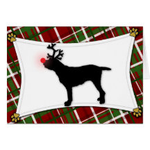 Spinone Italiano Reindeer Christmas Card