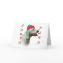 Spinone Italiano Santa Paws cards