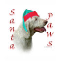 Spinone Italiano Santa Paws t-shirts