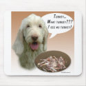 Spinone Italiano Turkey mousepads