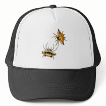 Spiny Hat