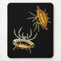 Spiny Orb-Weaver Mousepad
