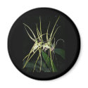 spiny orchid magnets