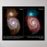 Spiral Galaxy M51   Whirlpool Galaxy Poster/Print