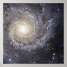 Spiral Galaxy M74 12x12 (13x13) Print