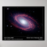 Spiral Galaxy M81 – Spitzer Space Telescope posters