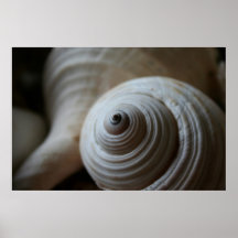 Spirals Poster