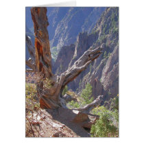 Spires of Wood and Stone Card