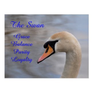 Spirit Animal Postcards: The Swan