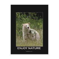 Spirit Bear Gifts Postcard