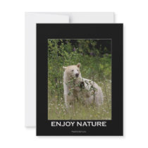 Spirit Bear Invitation Cards
